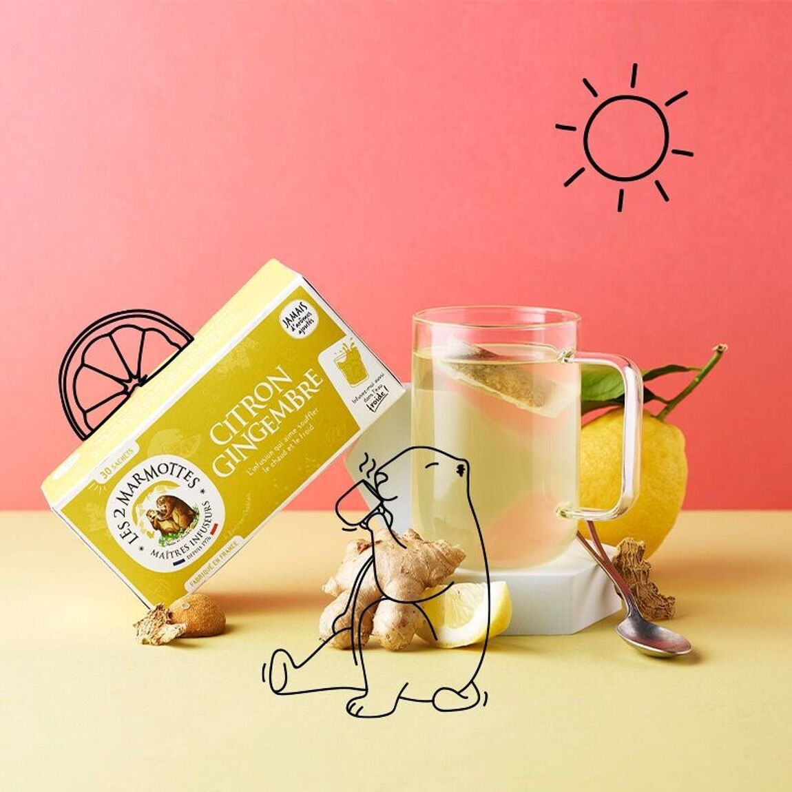 Infusion citron gingembre