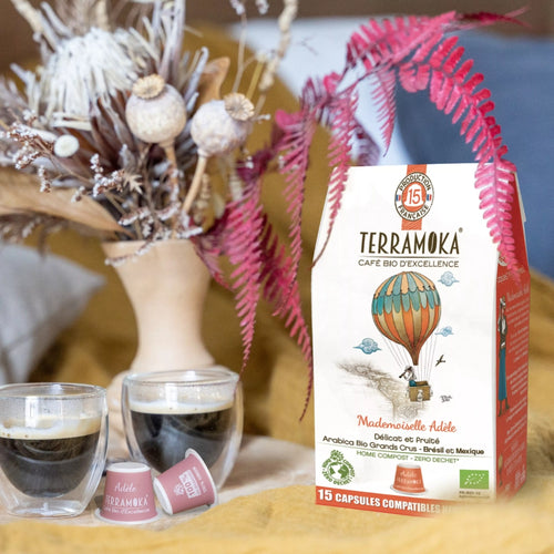 15 capsules compostables compatibles Nespresso® de café bio du Brésil et Mexique - délicat et fruité