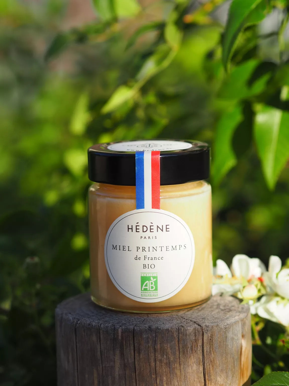 Miel de printemps de France bio