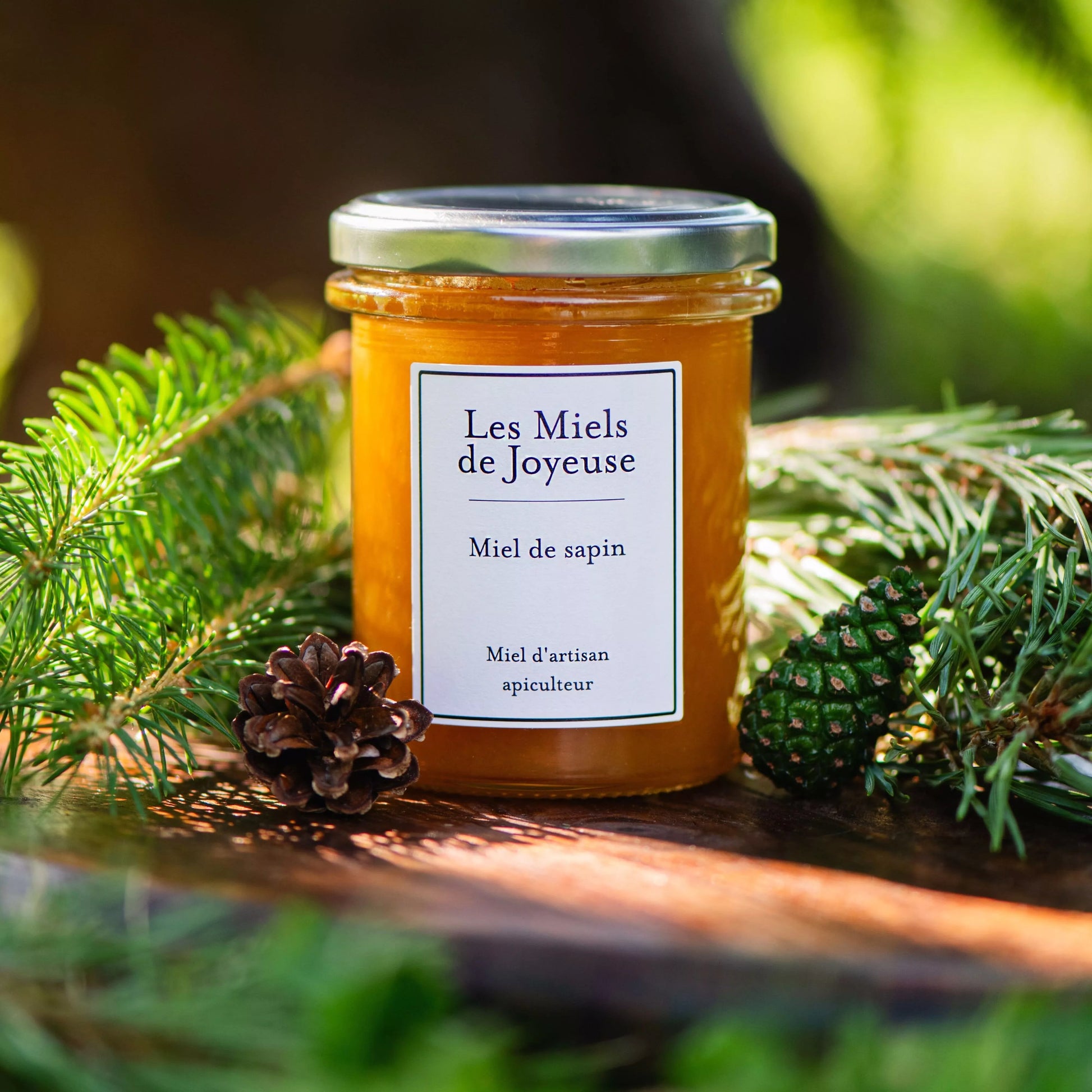 Miel de sapin