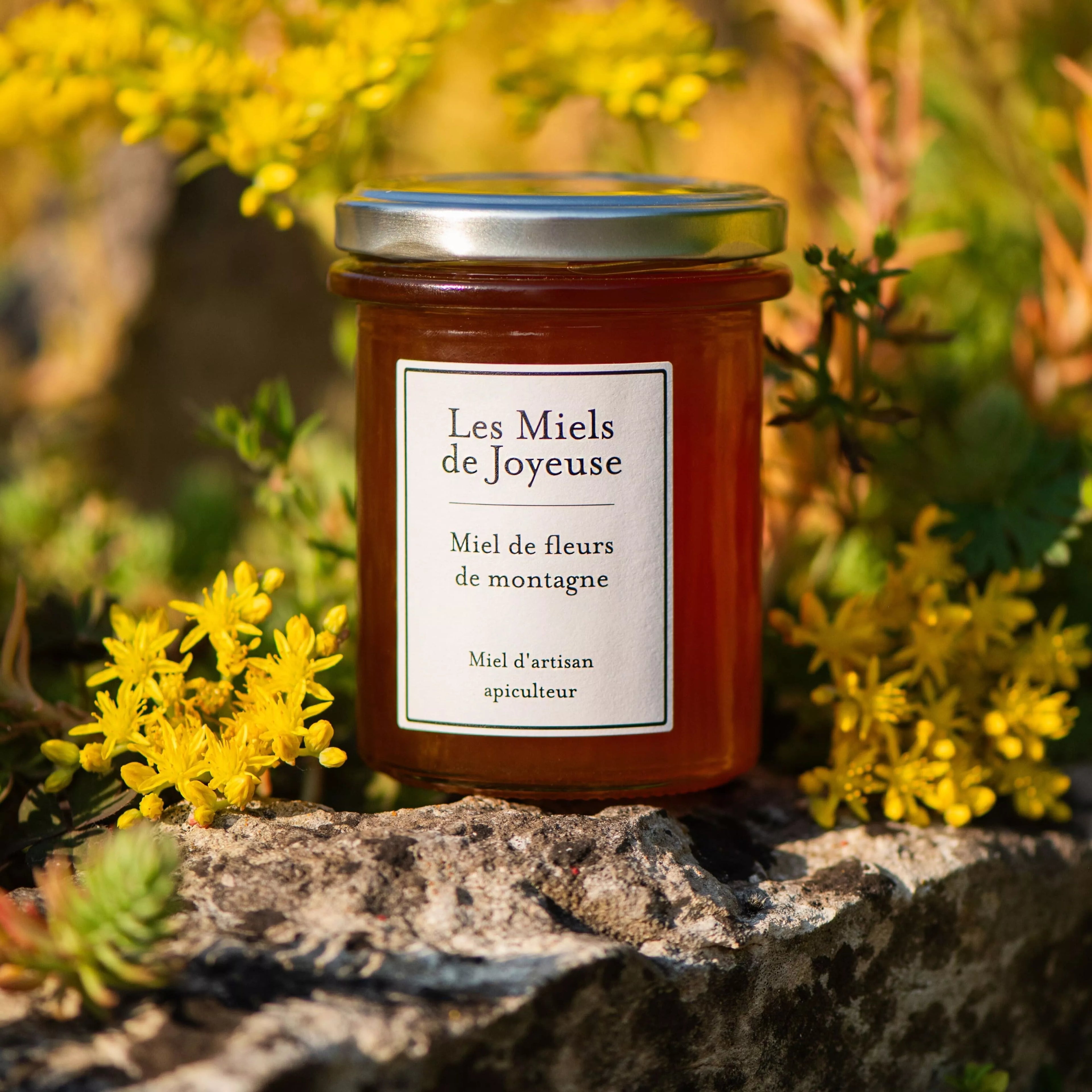 Miel de fleurs de montagne