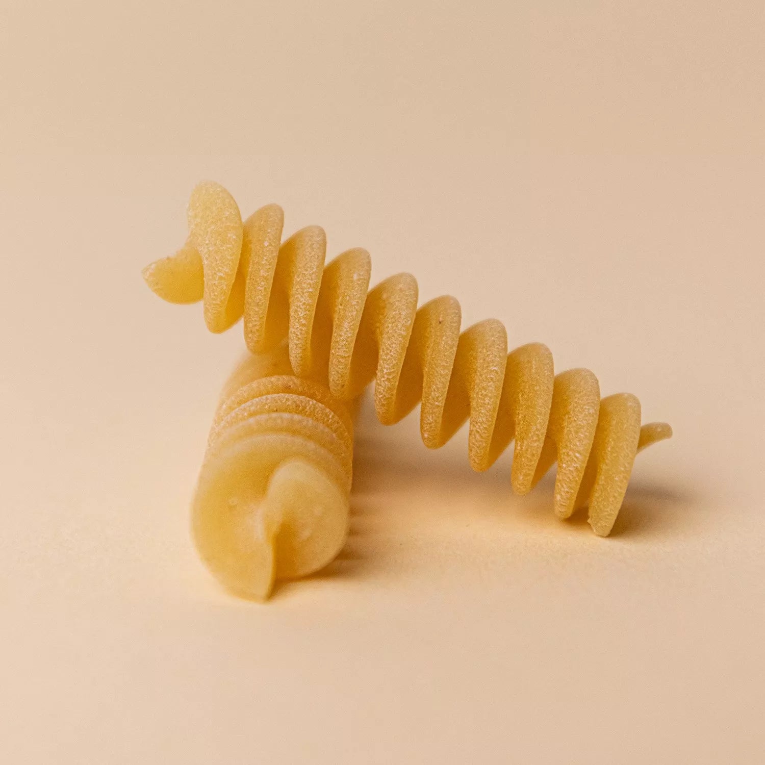 Organic Grano Duro Fusilli Pasta
