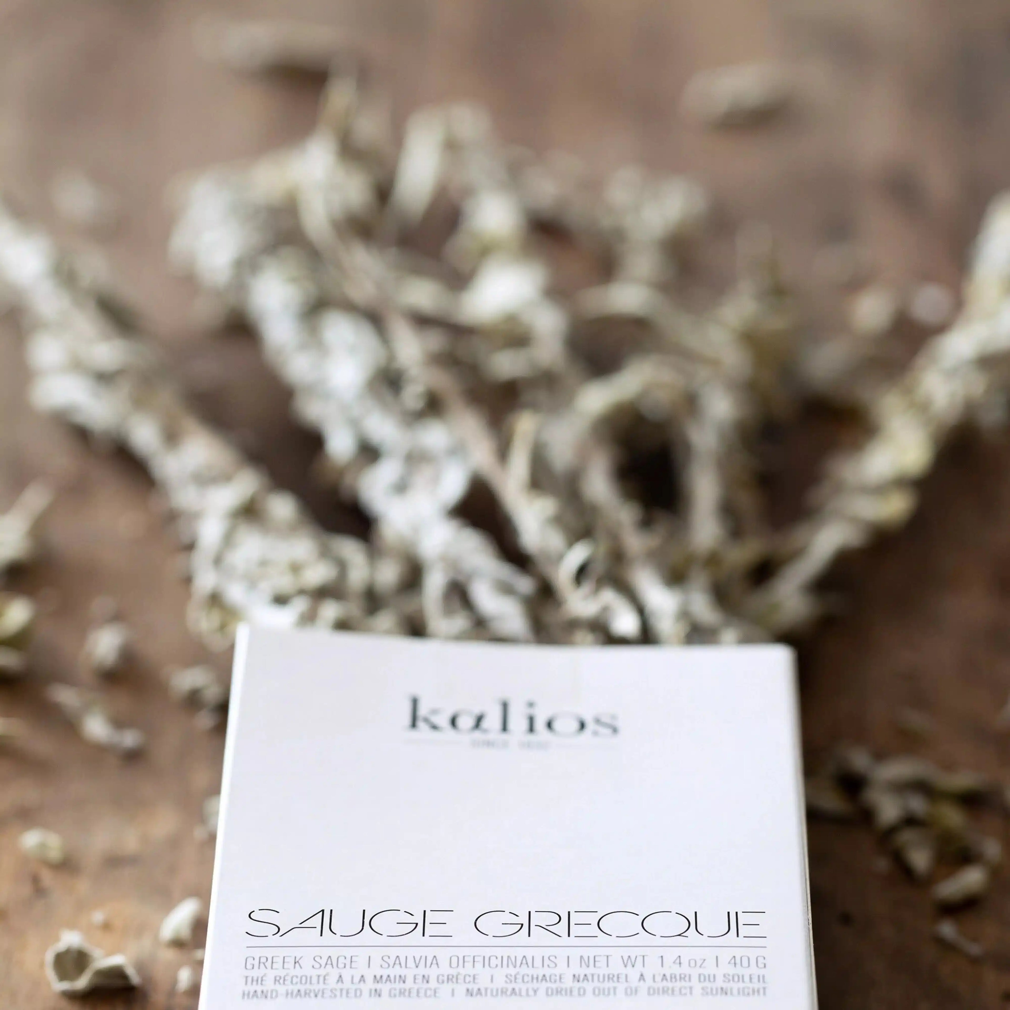 Greek sage