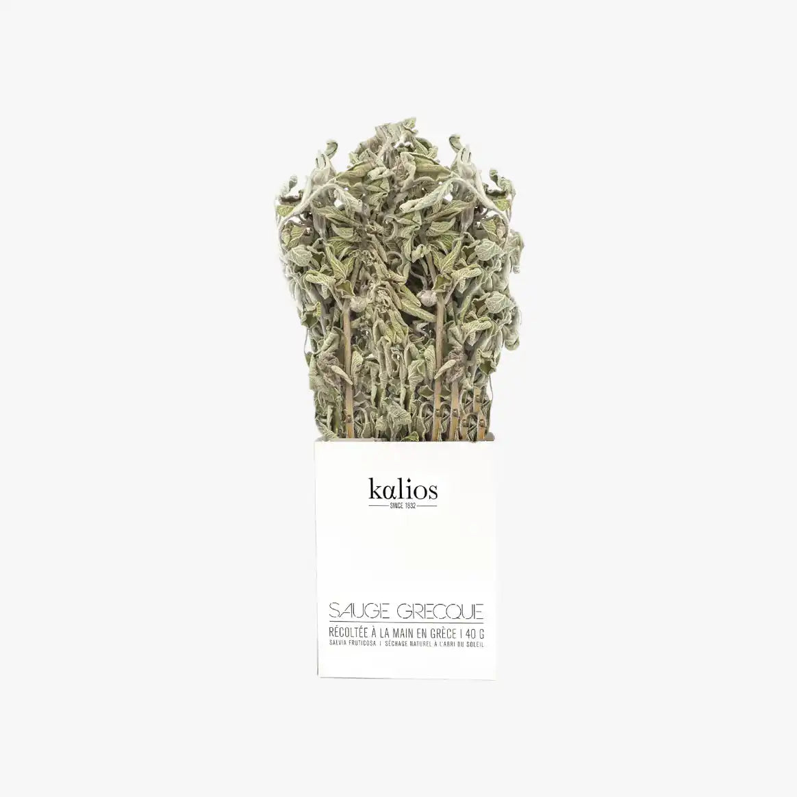 Greek sage