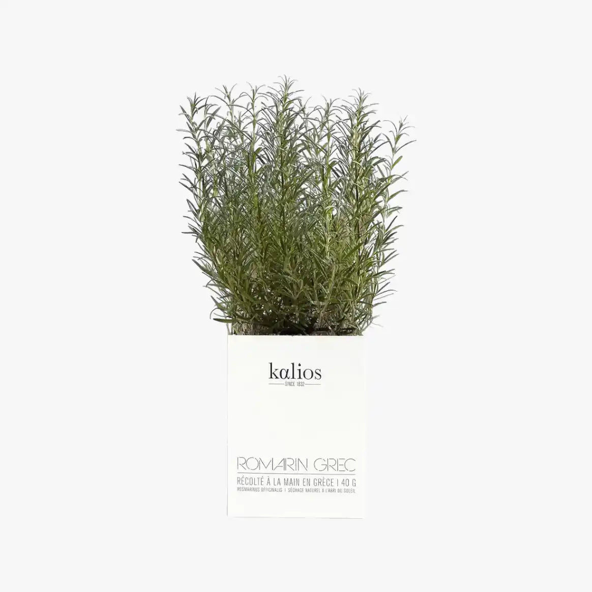 Greek rosemary