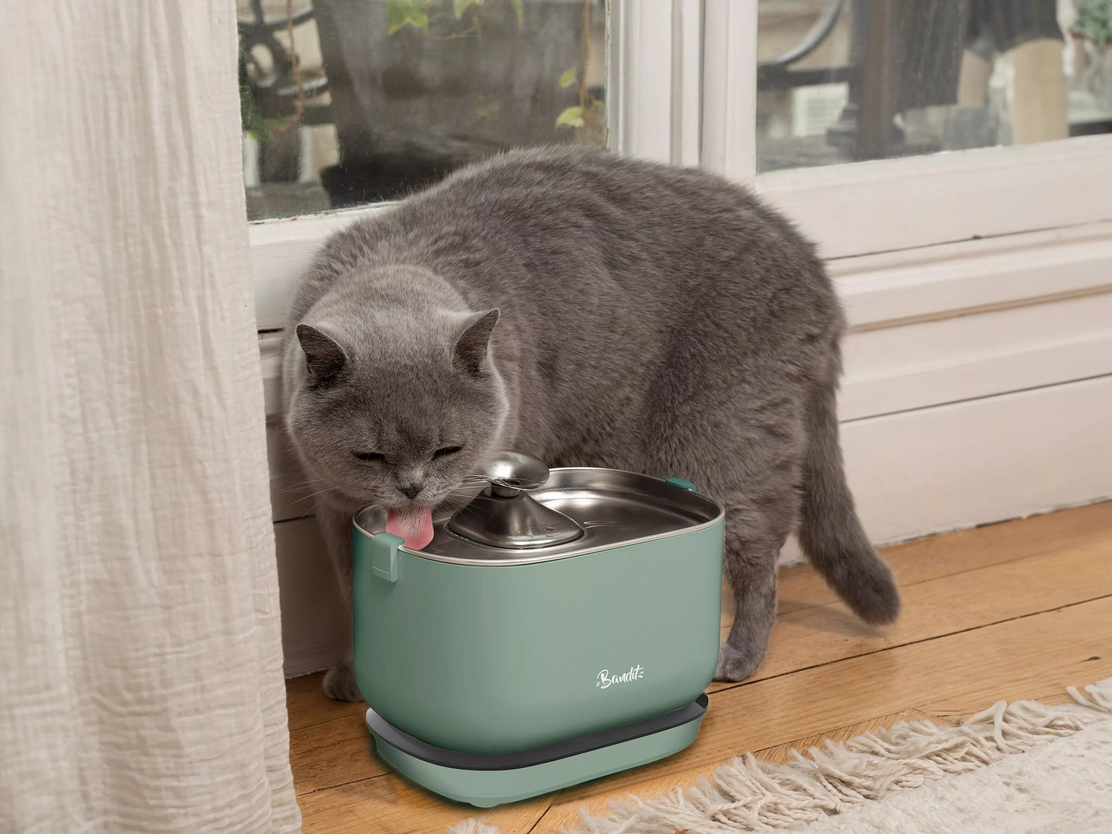 Fontaine à eau sans fil