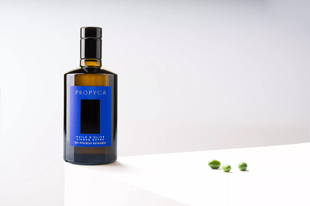 Huile d'olive vierge extra des Pyrénées catalanes variété Argudell