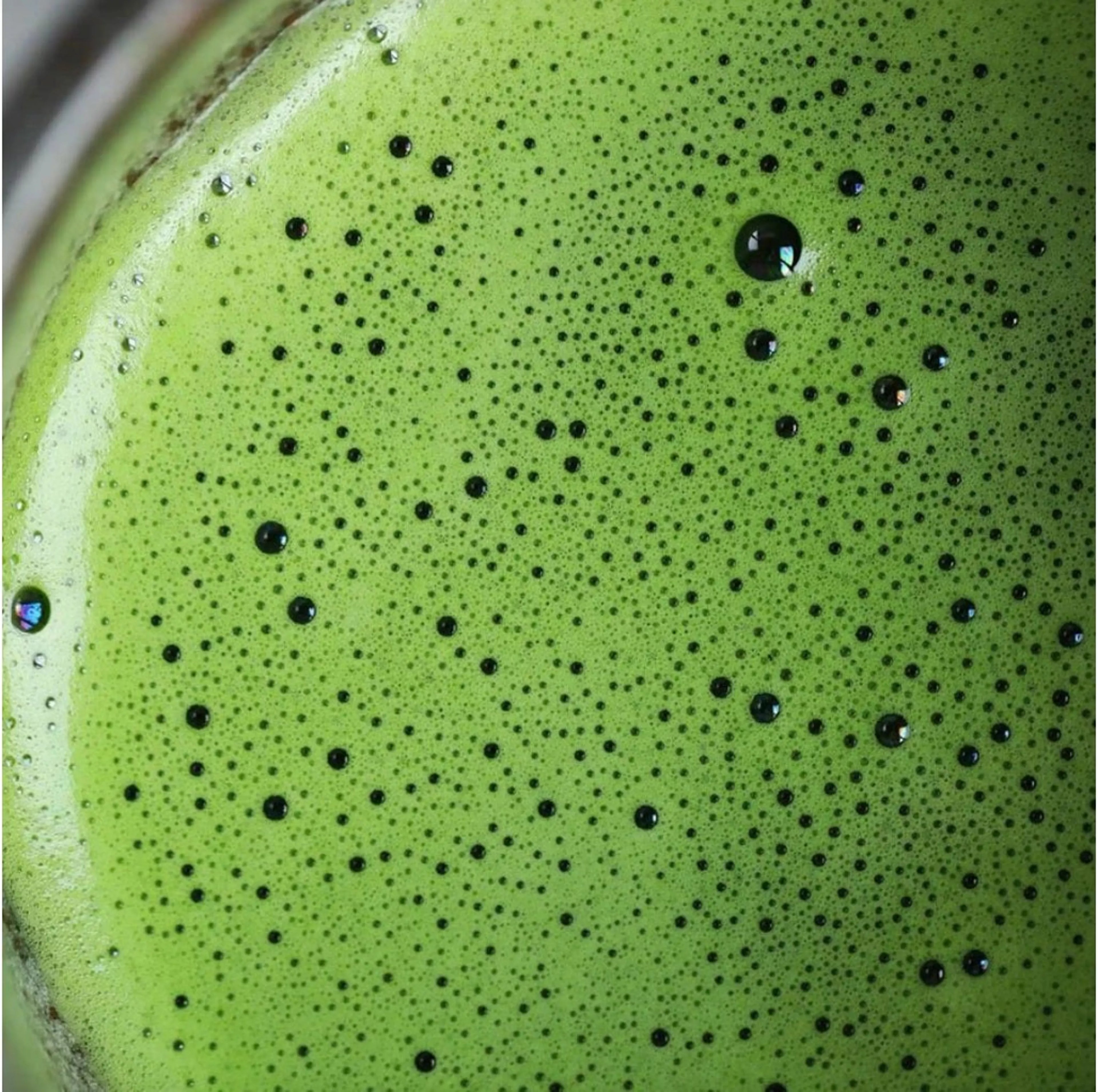 Thé matcha premium