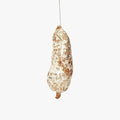 Saucisson sec