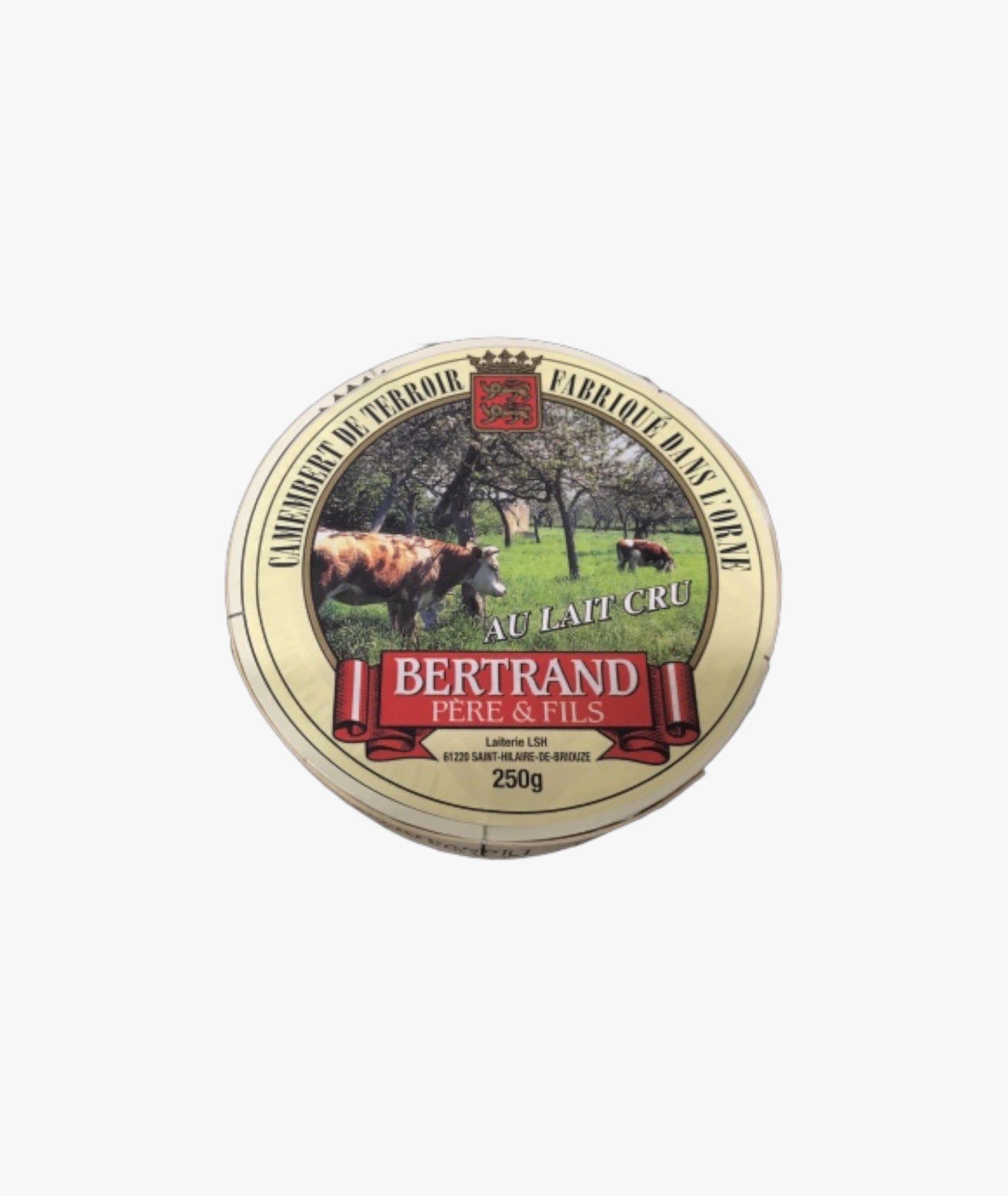 Raw milk Camembert