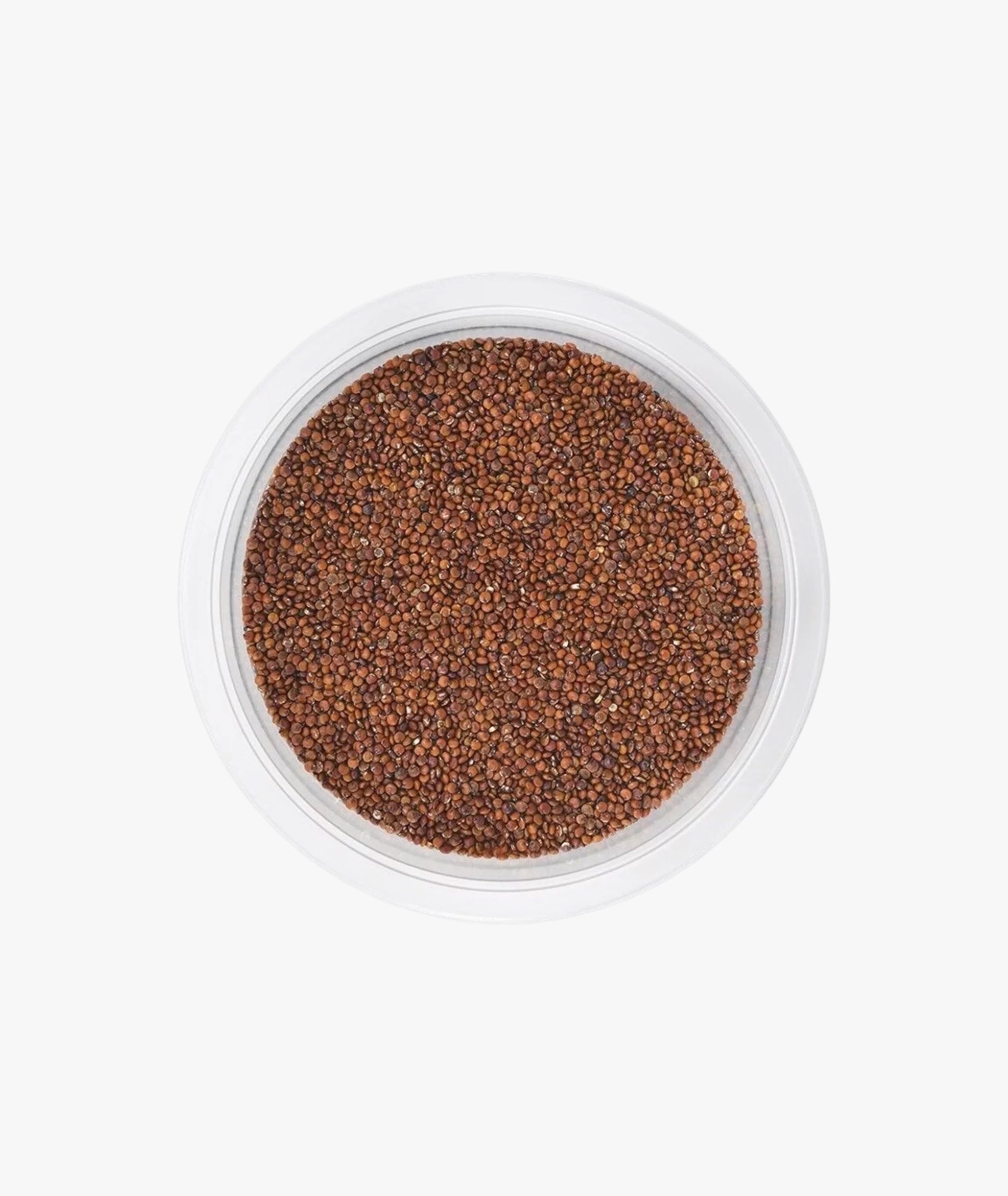 Organic red quinoa seeds