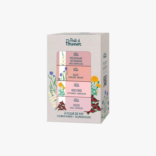 Coffret à fleur de pot