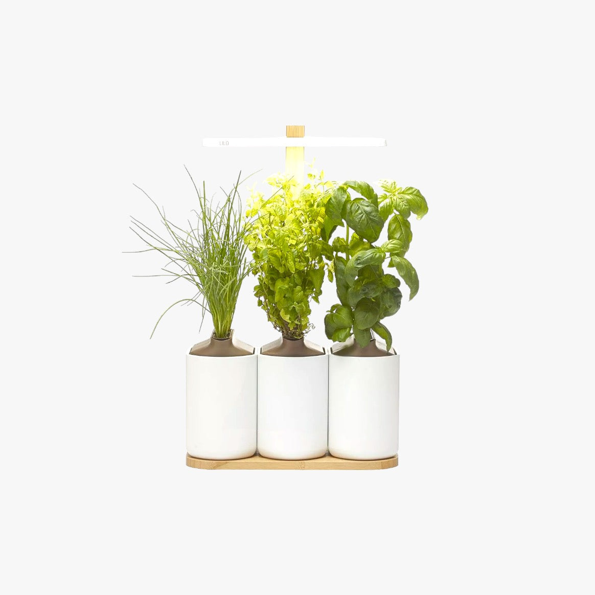 Potager d'intérieur connecté LILO CONNECT